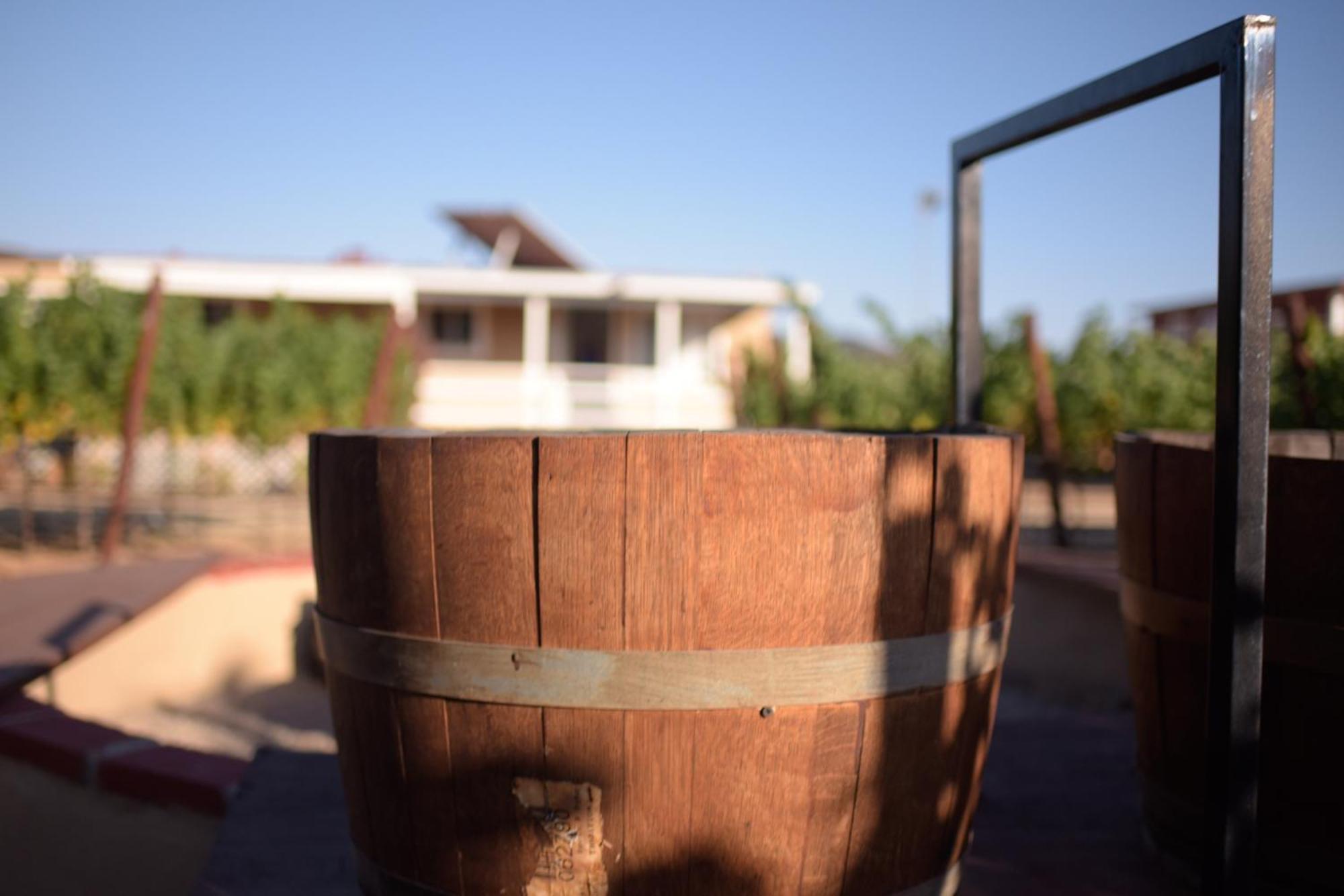 3333 Luz Del Valle Hotel Boutique Valle de Guadalupe Exterior foto